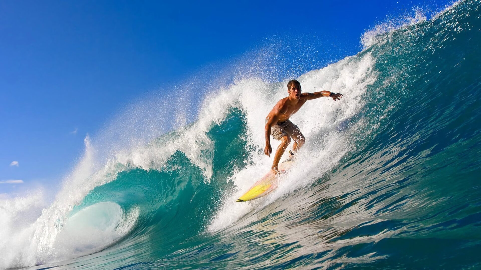 赛道上的心跳，拉文关键制胜，F1年度争冠之夜